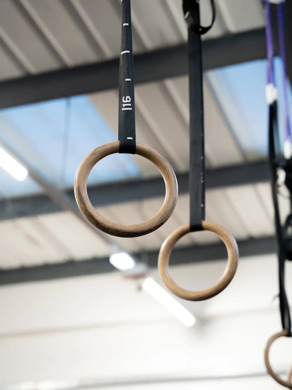 Gymnastic rings hanging from the rig